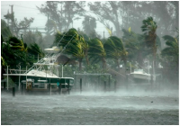 Hurricane Wilma Program Management and Inspection Hurricane Wilma Program Management and Inspection photo
