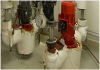 BPCPC Hot Water Circulating Pumps Investigation & Temporary Chiller BPCPC Hot Water Circulating Pumps Investigation & Temporary Chiller photo
