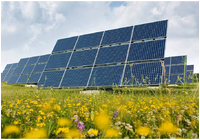 Solar Farm Site Evaluations Solar Farm Site Evaluations photo
